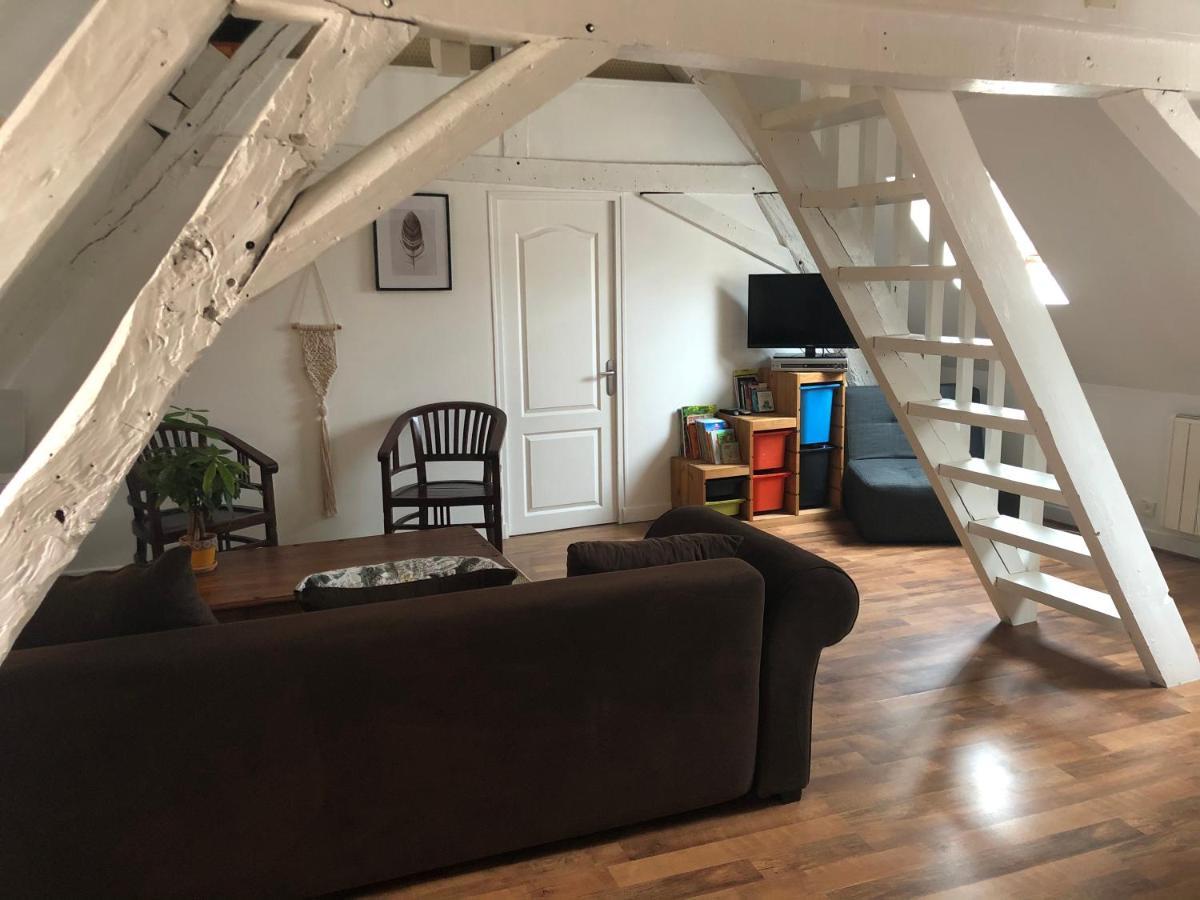 Le Grand Appartement - 90M2- 2 Chb , 1 Mezzanine - 6Pers Romorantin-Lanthenay ภายนอก รูปภาพ